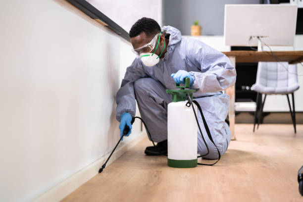 Real Estate Pest Inspections in Grove City, OH